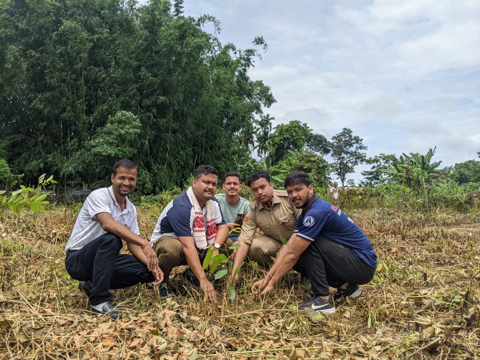 Tree Plantation 2